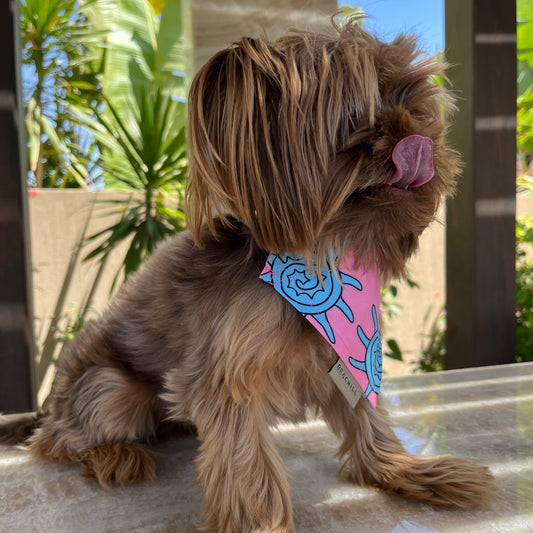 B-Shellfish ( Dog Bandana ) - Beachill