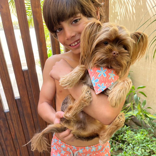 B-Jasmine ( Dog Bandana ) - Beachill