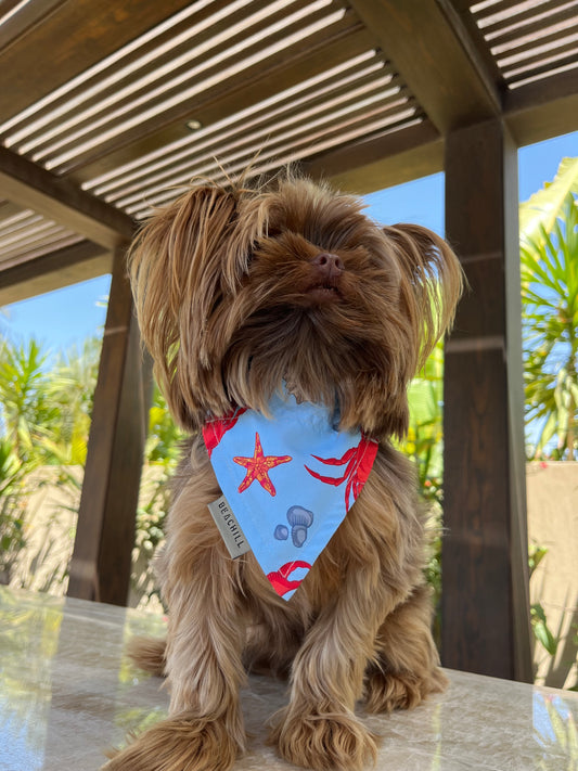 B-Crabbing ( Dog Bandana )