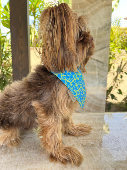 B-Lime ( Dog Bandana )