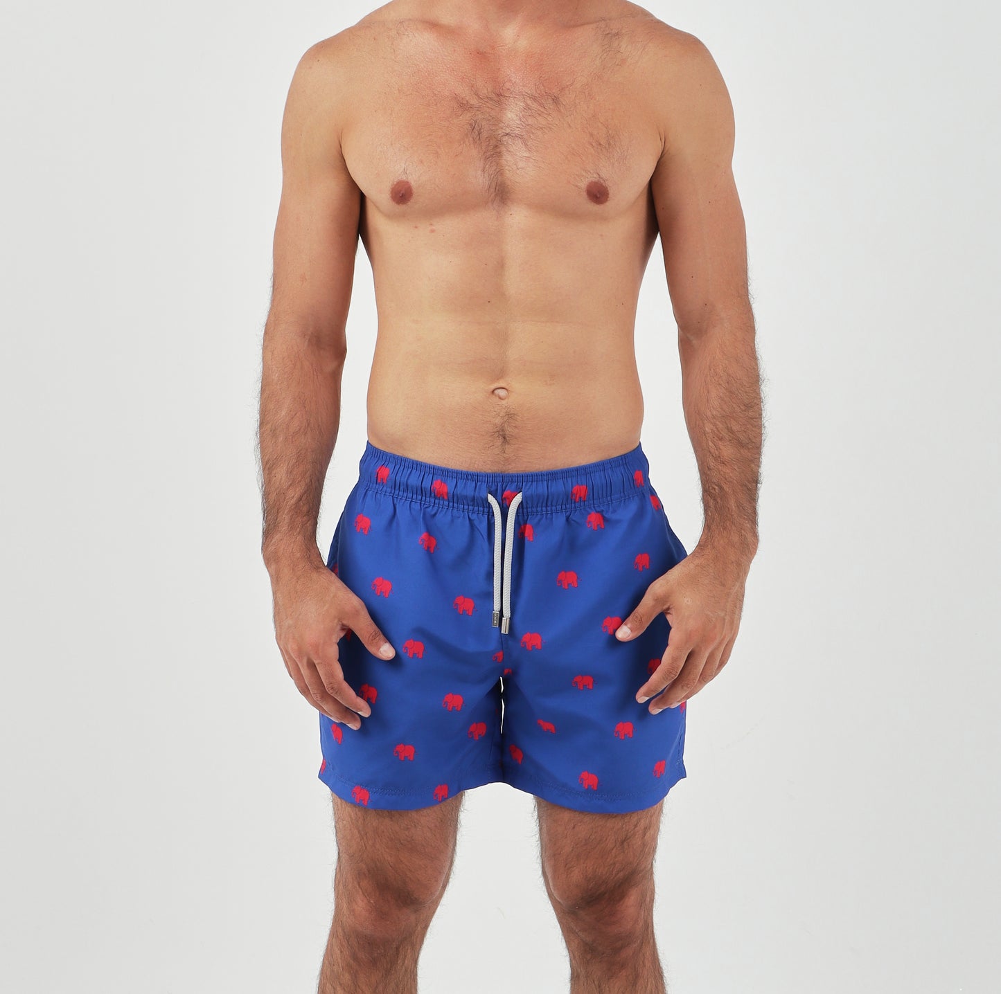 B-Elephant - Beachill