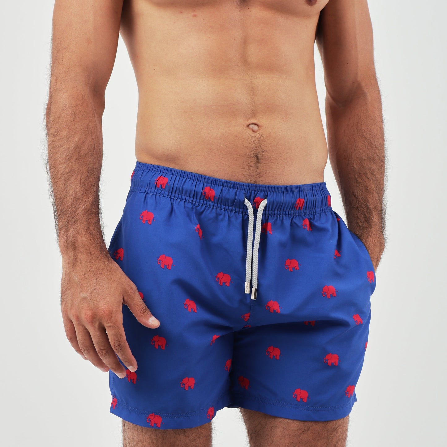 B-Elephant - Beachill