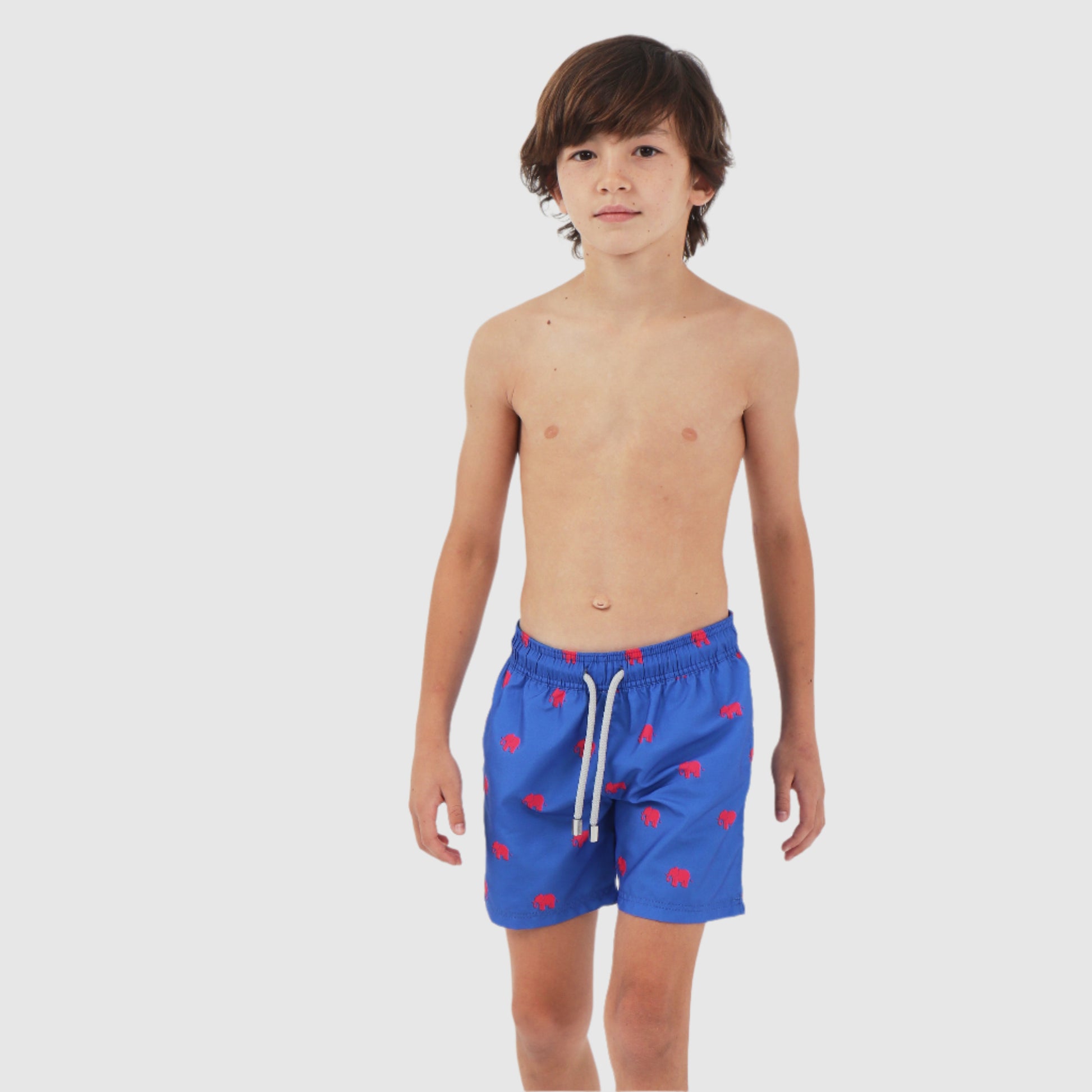 B-Elephant Boy - Beachill