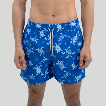 Blue Turtling - Beachill